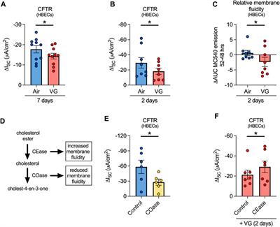 Vegetable glycerin e-cigarette aerosols cause airway inflammation and ion channel dysfunction